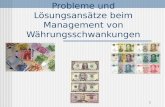 1 Probleme und Lösungsansätze beim Management von Währungsschwankungen.
