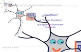 Wolfgang Mader, 25. Mai 2011 madSim – ein Tool zur Simulation biologischer neuronaler Netzwerke  madSim ein Tool zur Simulation biologischer.