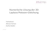Numerische Lösung der 2D Laplace/Poisson-Gleichung Teilnehmer: Alireza Farman Auline Rodler 27.12.2013.