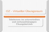 OZ - Virtueller Übungsraum Telelernen im ortsverteilten und zeitunabhängigen Übungsbetrieb.