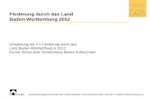 Förderung durch das Land Baden-Württemberg 2012 Umsetzung der 2:1 Förderung durch das Land Baden-Württemberg in 2012 Kurzer Abriss über Verwendung dieses.