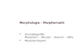 Morphologie - Morphematik Grundbegriffe: Morphem – Wurzel – Stamm – Affix Morphemtypen.