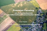 Peter Wagner MLU-Halle, Professur für Landwirtschaftliche Betriebslehre  Precision Farming - ein Zwischenbericht aus informationsökonomischer.