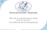 Erstellt im September 2004 – Dipl.Ing (FH) Ingo Horn Brandmeister Stampe – Ein Unfall und seine Konsequenzen Brandmeister Stampe Wer war er und was kann.