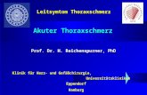 Klinik für Herz- und Gefäßchirurgie, Universitätsklinikum Eppendorf Hamburg Akuter Thoraxschmerz Prof. Dr. H. Reichenspurner, PhD Leitsymtom Thoraxschmerz.