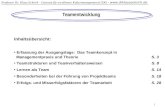 Professor Dr. Klaus Eckrich - Centrum für excellentes Kulturmanagement (CEK) -  1 Teamentwicklung Inhaltsübersicht: Erfassung der.