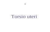 Torsio uteri 3. T Definition: Drehung des (graviden) Uterus einschließlich der Frucht um die Längsachse Prädisponierende Faktoren: - große Beweglichkeit.
