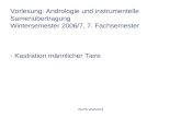 AGTK Wehrend Vorlesung: Andrologie und instrumentelle Samenübertragung Wintersemester 2006/7, 7. Fachsemester - Kastration männlicher Tiere.