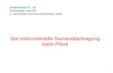 Untermodul 4 - 10 Andrologie und KB 6. Semester (Sommersemester) 2009 Die instrumentelle Samenübertragung beim Pferd 1.