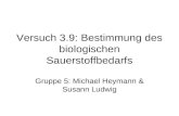 Versuch 3.9: Bestimmung des biologischen Sauerstoffbedarfs Gruppe 5: Michael Heymann & Susann Ludwig.