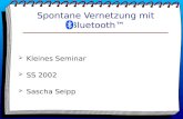 Spontane Vernetzung mit Bluetooth / Kleines Seminar / SS 2002 / Sascha Seipp.