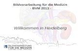 Bildverarbeitung für die Medizin - BVM 2013 - Willkommen in Heidelberg.
