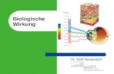 Biologische Wirkung Dr. Rolf Neuendorf. 2004 – Rolf Neuendorf Inhalt Wechselwirkung von Laserlicht und Materie Absorption biologischer Materialien Laser-Gewebe.
