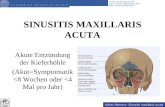 Niklas Reimers: Sinusitis maxillaris acuta KLINIK UND POLIKLINIK FÜR HALS-, NASEN-, OHRENHEILKUNDE KOPF- UND HALSCHIRURGIE SINUSITIS MAXILLARIS ACUTA Akute.