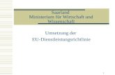 1 Saarland Ministerium für Wirtschaft und Wissenschaft Umsetzung der EU-Dienstleistungsrichtlinie.