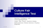 03.05.2009 1 Culture Fair Intelligence Test Seminar: Intelligenz- und Leistungsdiagnostik Leiter: Dipl. Psych. Joachim Wutke Referentinnen: Miriam Schnorr,