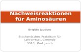 Brigitte Jacques Biochemisches Praktikum für Lehramtsstudierende SS10, Prof. Jauch Nachweisreaktionen für Aminosäuren.