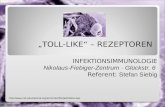 TOLL-LIKE – REZEPTOREN INFEKTIONSIMMUNOLOGIE Nikolaus-Fiebiger-Zentrum · Glückstr. 6 Referent: Stefan Siebig .