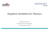 Negative Selektion im Thymus Katharina Oeser Fachmodul Immunologie 22. November 2010.