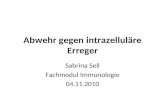 Abwehr gegen intrazelluläre Erreger Sabrina Sell Fachmodul Immunologie 04.11.2010.