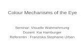 Colour Mechanisms of the Eye Seminar: Visuelle Wahrnehmung Dozent: Kai Hamburger Referentin : Franziska Stephanie Urban.