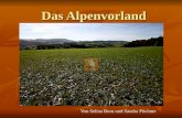Das Alpenvorland Von Selina Born und Sandra Püchner.