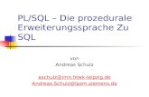 PL/SQL – Die prozedurale Erweiterungssprache Zu SQL von Andreas Schulz aschulz@imn.htwk-leipzig.de Andreas.Schulz@lpzm.siemens.de.