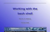 © 2004 Prof. Dr. G. Hellberg 1 BASH Shell Working with the bash shell Prof. Dr. G. Hellberg Februar 2004 Working with the bash shell Prof. Dr. G. Hellberg.