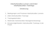 Interkulturelles Lernen und Arten interkulturellen Trainings Gliederung: 1.Bedingungen und Prozesse interkulturellen Lernens 2.Ziele interkulturellen Trainings.