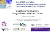 Bruchpunktanalyse langzeitkorrelierter Daten Das BMBF-Vorhaben Skalenanalyse hydrologischer und hydrometeorologischer Zeitreihen Norwegisches Waldforschungsinstitut.