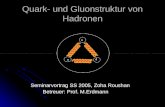 Quark- und Gluonstruktur von Hadronen Seminarvortrag SS 2005, Zoha Roushan Seminarvortrag SS 2005, Zoha Roushan Betreuer: Prof. M.Erdmann.