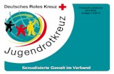 Www.jrk-rlp.de Sexualisierte Gewalt im Verband Protokoll Länderrat 29.5.2010 Anlage 1 TOP 9.