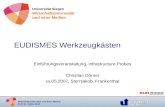 Wirtschaftsinformatik und Neue Medien Prof. Dr. Volker Wulf EUDISMES Werkzeugkästen Einführungsveranstaltung, Infrastructure Probes Christian Dörner xx.05.2007,