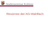 Studienseminar Koblenz Resümee der AG-Wahlfach. Beteiligte Schulen 1.Are-Gymnasium Bad Neuenahr-Ahrweiler 2.Gymnasium der Ursulinen Bad Neuenahr-Ahrweiler.