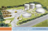 Von Thomas Liebing Biogasanlagen. Einsatz von Biogasanlagen o Vorkommen Landwirtschaft Landwirtschaft Ernährungs-und Agrar-Industrie Ernährungs-und Agrar-Industrie.