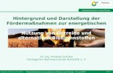 Fachagentur Nachwachsende Rohstoffe e.V. Fördermaßnahmen zur energetischen Nutzung von Getreide - 21. Juni 2007 Seite: 1 Hintergrund und Darstellung der.