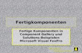 Wizards & Builders GmbH Fertigkomponenten Fertige Komponenten in Component Gallery und Solutions-Beispielen Microsoft Visual FoxPro.