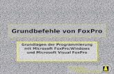 Wizards & Builders GmbH Grundbefehle von FoxPro Grundlagen der Programmierung mit Microsoft FoxPro/Windows und Microsoft Visual FoxPro.