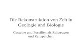 Die Rekonstruktion von Zeit in Geologie und Biologie Gesteine und Fossilien als Zeitzeugen und Zeitspeicher.