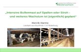 Intensive Bullenmast auf Spalten oder Stroh - und weiteres Wachstum ist (eigentlich) geplant Henrik Harms Landwirt aus Buchholz / LK Rotenburg.