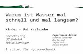 Warum ist Wasser mal schnell und mal langsam? Warum ist Wasser mal schnell und mal langsam? Kinder - Uni Karlsruhe Cornelia Lang Ulf Mohrlok Tobias Bleninger.