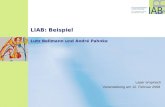 LIAB: Beispiel Lutz Bellmann und André Pahnke Laser empirisch Veranstaltung am 12. Februar 2008.