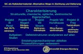 Universität Erlangen-Nürnberg DFG-Begutachtung Erlangen, 19./20. November 2001 SiC als Halbleitermaterial: Alternative Wege in Züchtung und Dotierung Charakterisierung.