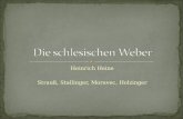 Heinrich Heine Strauß, Stallinger, Moravec, Holzinger.