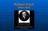 Robert Koch 1843-1910. Wovon ist er berühmt? Er war eins der gröten Entdecker, die herausfunden haben, dass viele Krankheiten ansteckend (infektiös)