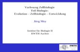 Vorlesung Zellbiologie Teil Biologie: Evolution – Zellbiologie – Entwicklung Institut für Biologie II Jörg Mey Institut für Biologie II RWTH Aachen.