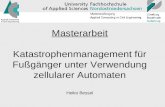 Masterarbeit Katastrophenmanagement für Fußgänger unter Verwendung zellularer Automaten Heiko Bessel.