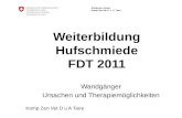 Schweizer Armee Komp Zen Vet D u A Tiere Weiterbildung Hufschmiede FDT 2011 Wandgänger Ursachen und Therapiemöglichkeiten.