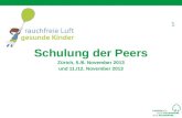 1 Schulung der Peers Zürich, 5./6. November 2013 und 11./12. November 2013.