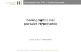 Sonographie Kurs 2013 – Portale Hypertonie Sonographie bei portaler Hypertonie Gian-Marco Semadeni.